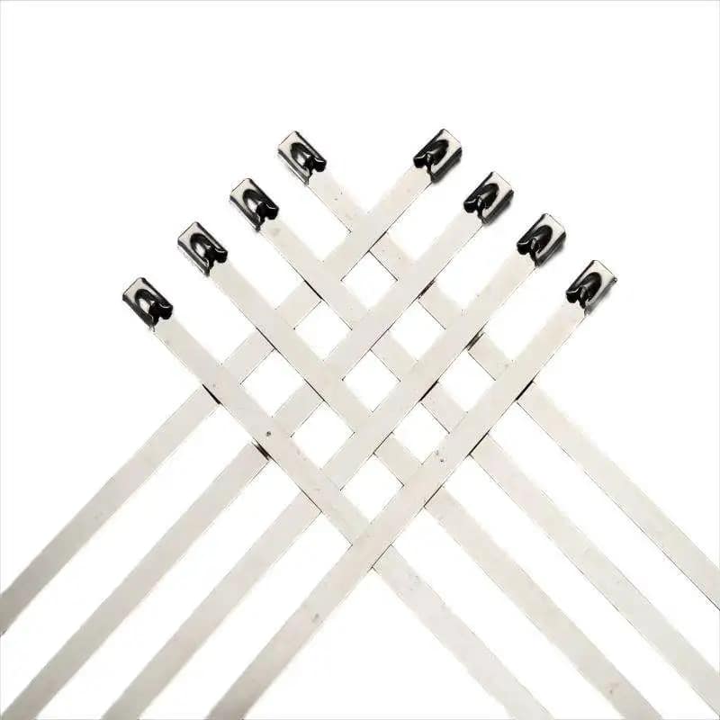 Professional Manufacturer of Industrial Standard Heavy-duty Self-locking Stainless Steel Cable Ties 15mm Bolts Shoulder Washers
