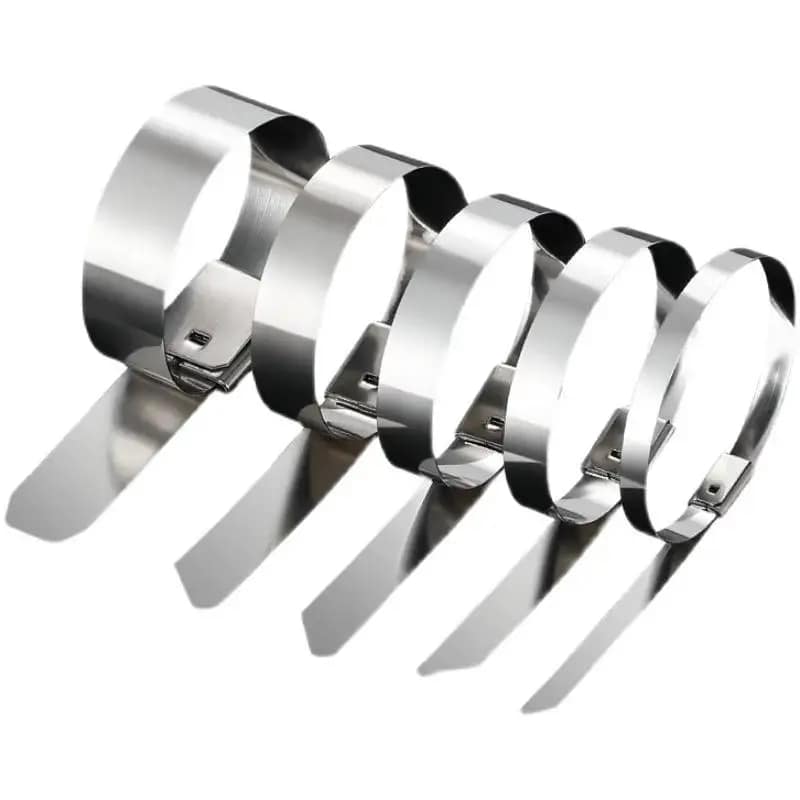 Professional Manufacturer of Industrial Standard Heavy-duty Self-locking Stainless Steel Cable Ties 15mm Bolts Shoulder Washers